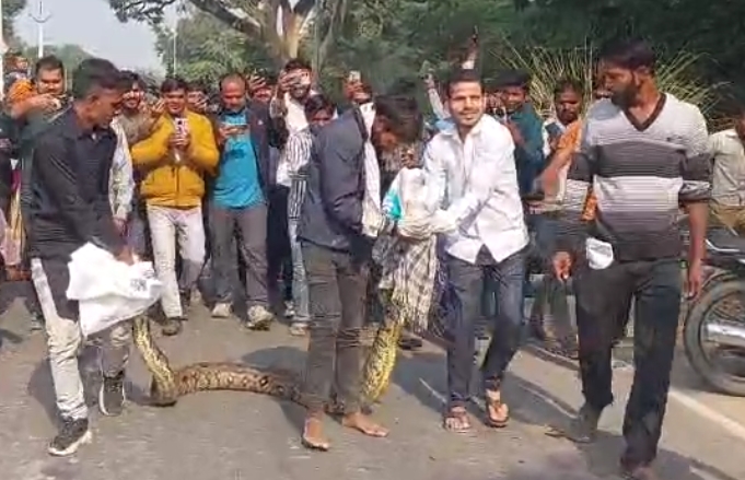 तालाब के पास विशाल अजगर मिलने से दहशत में ग्रामीण,कड़ी मशक्कत के बाद वन विभाग कर्मचारियों ने अजगर को पकड़ा