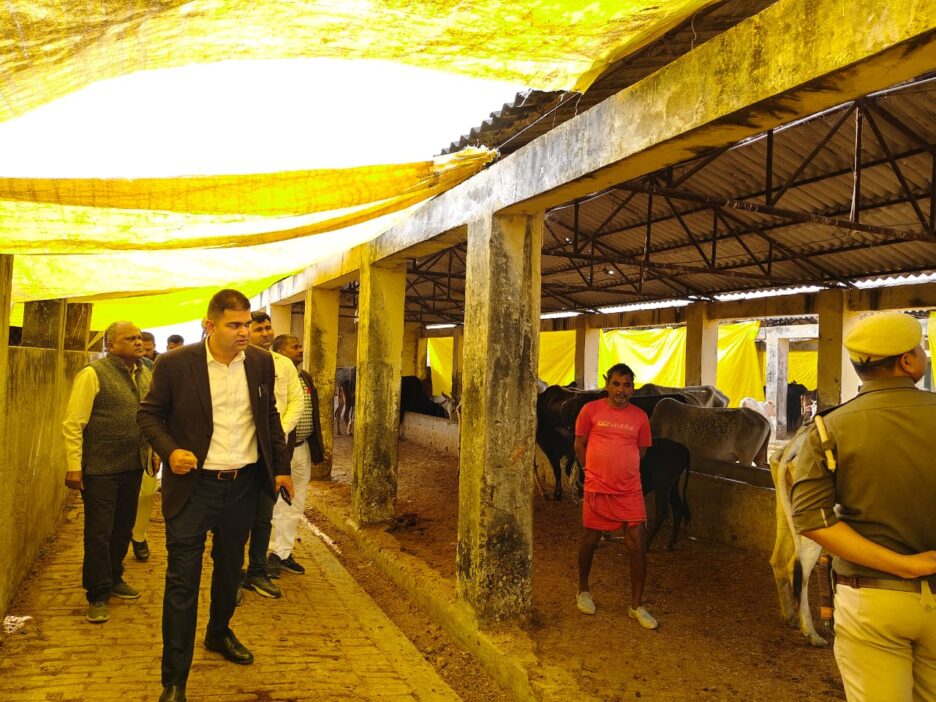 डीएम ने स्थायी गौ-आश्रय स्थल कादिराबाद का किया निरीक्षण,गोवंशों को ठण्ड से बचाव की नहीं मिली व्यवस्था, पंचायत सचिव से मांगा स्पष्टीकरण