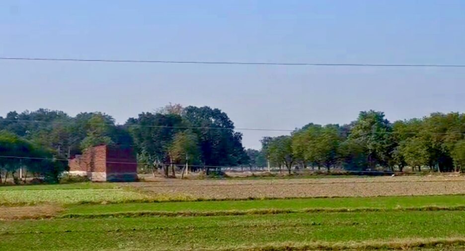 विद्युत विभाग की लापरवाही, 11हजार की तार जमीन से 5 फीट पर, कभी भी हो सकता है बड़ा हादसा