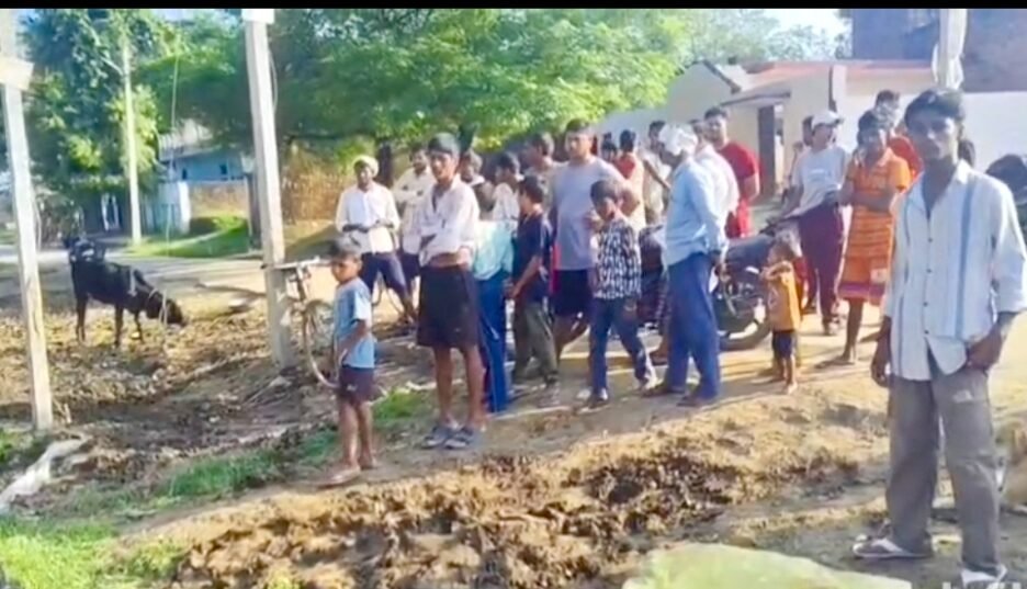 निर्माणाधीन अधूरे नाले में गिरकर दुधारू भैंस की मौत,एक हफ्त पहले खरीदी थी ,एक लाख 20 हजार की भैंस